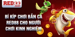 Bí kíp chơi bắn cá red88 cho người chơi kinh nghiệm